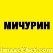 }_Мичурин_{ группа в Моем Мире.