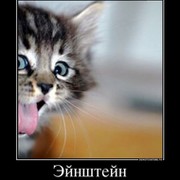 Aдминка Компи группа в Моем Мире.