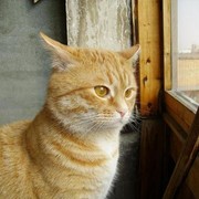 Драный Ух on My World.