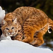 Элизабет Монн on My World.