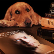 Евгений Лаптев on My World.
