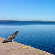 Юли Булгакова on My World.