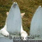 Рафаэль Дяминов  on My World.