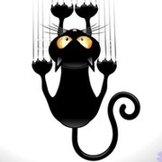 ЁЖКИНА КОШКА НФ 73 on My World.