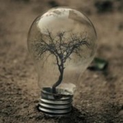 Владимир Яковлев on My World.