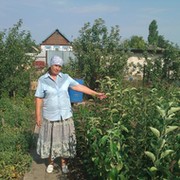 Елена Анатольевна on My World.