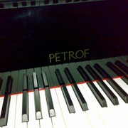 Андрей Петров on My World.