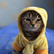 Олег Куропаткин on My World.