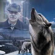 Александр Волков on My World.