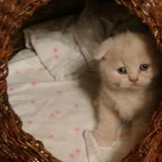 АНДРЕЙ ЗУРЗА on My World.