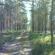 андрей д on My World.
