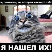 Dark Wolf on My World.