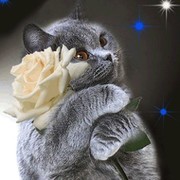 Анна Давыдова on My World.