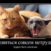 Dima Khomutski on My World.