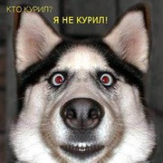 вадим Кащук on My World.