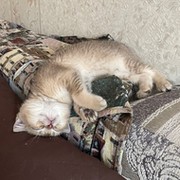 Ксения Абрамова Oo on My World.