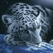 Костя Белый on My World.