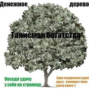 Гулжан Омарова on My World.