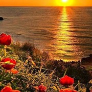 IRAIDA ))))))))))) on My World.