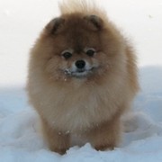 Ирина Максягина on My World.