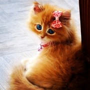 Ирина Уфимцева on My World.