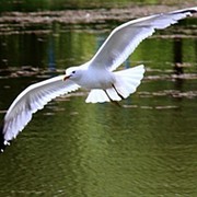 Александра К on My World.