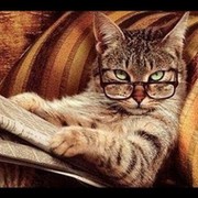 михаил рогачёв on My World.