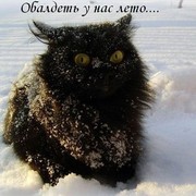 Мария Прохорова on My World.