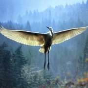 Остановись, мгновенье!... on My World.
