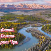 алексей медведев on My World.