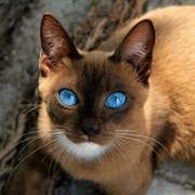 Оксана Крупенина on My World.