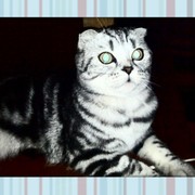 ольга нуштаева on My World.