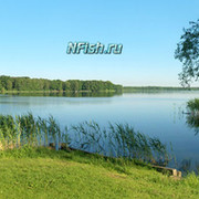NFISH .RU on My World.