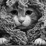 Юлия Котина on My World.