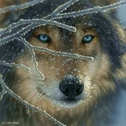 Сергей Лукьянов on My World.