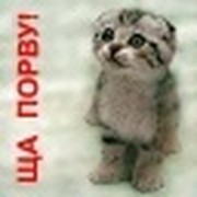 Евгений Тарасюк on My World.