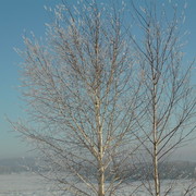 Александр Титовец on My World.