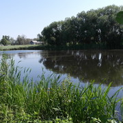 Александр Терновых on My World.