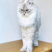 Татьяна Яковлева on My World.
